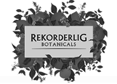 sponsors_rekordalig
